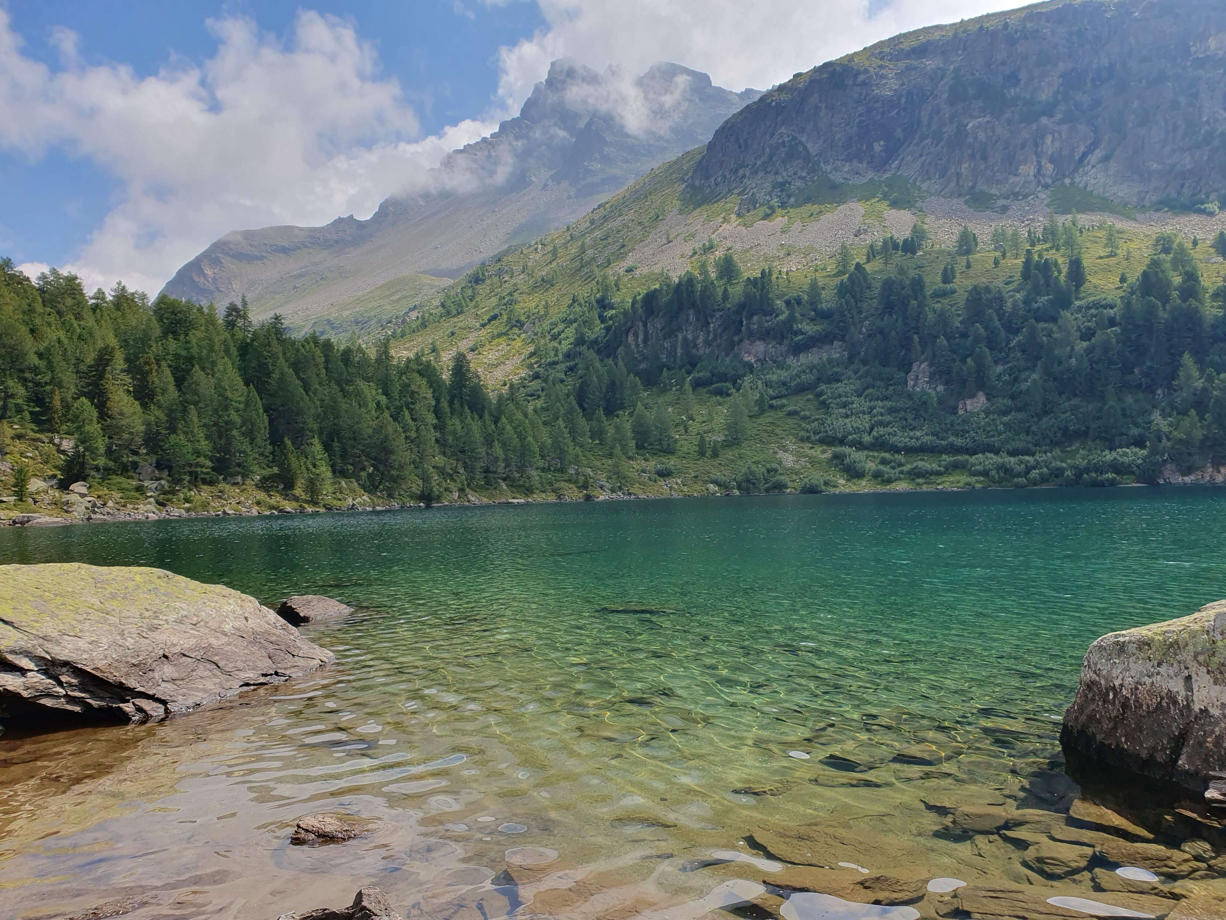 Lago da Viola